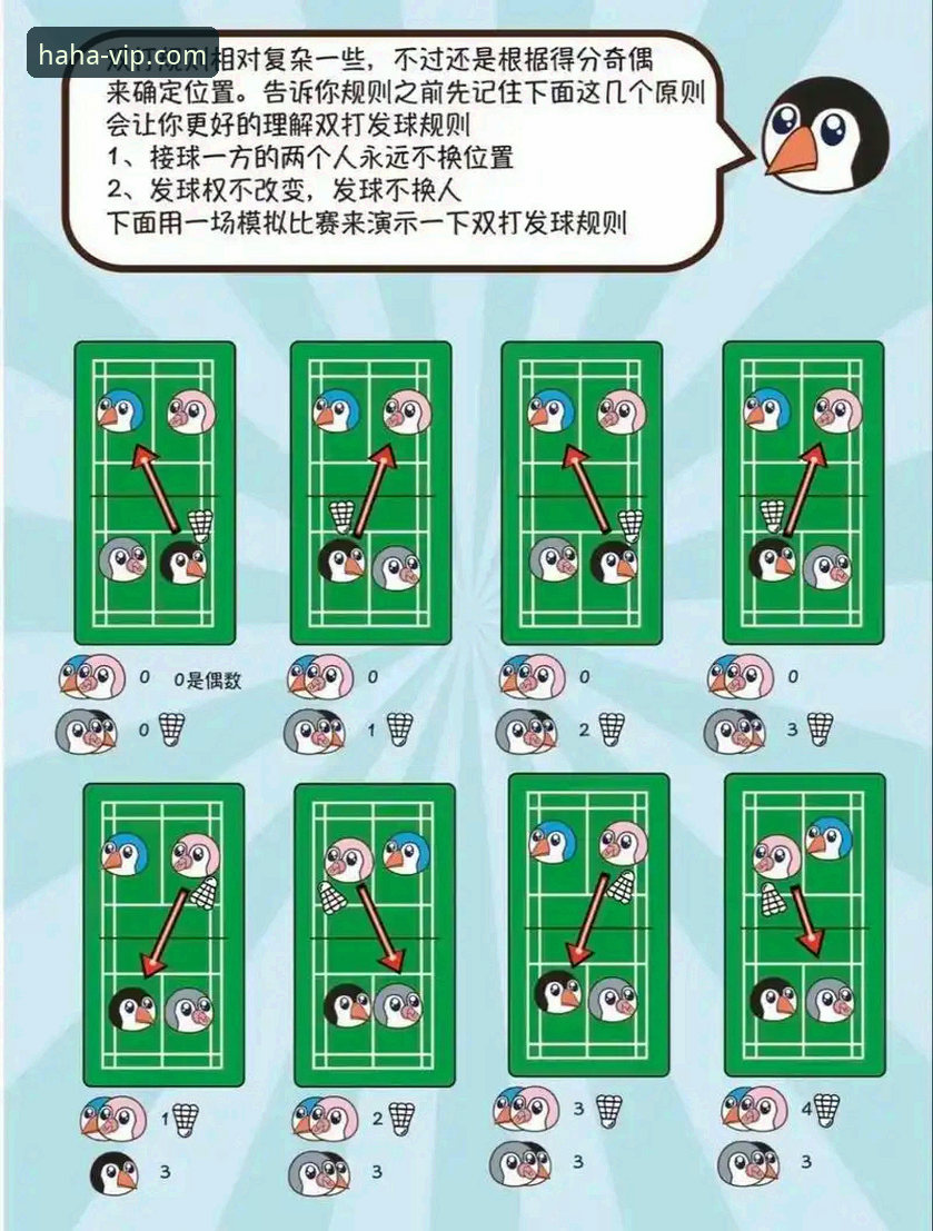 haha体育全球赛事新手入门详解